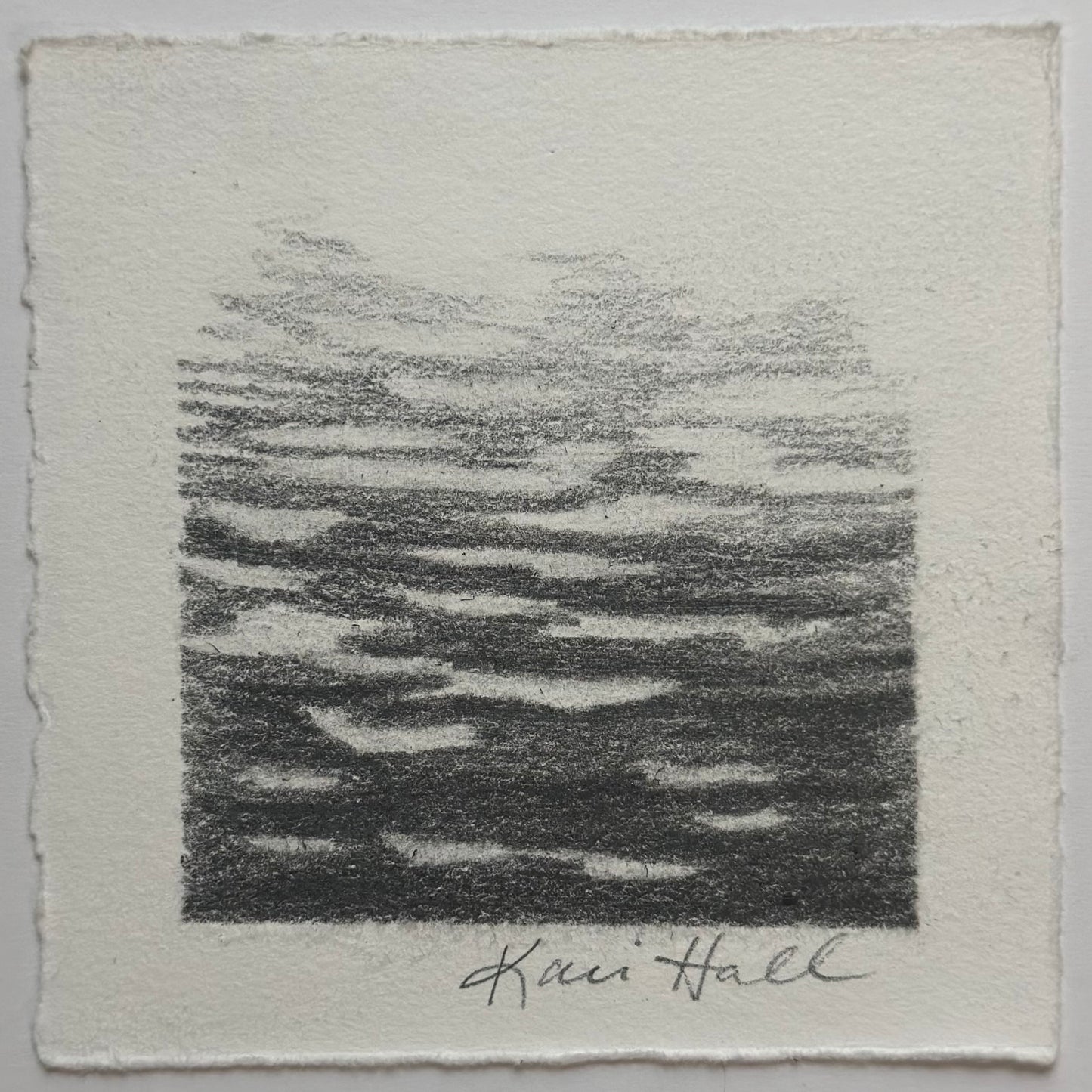 Water Study 3