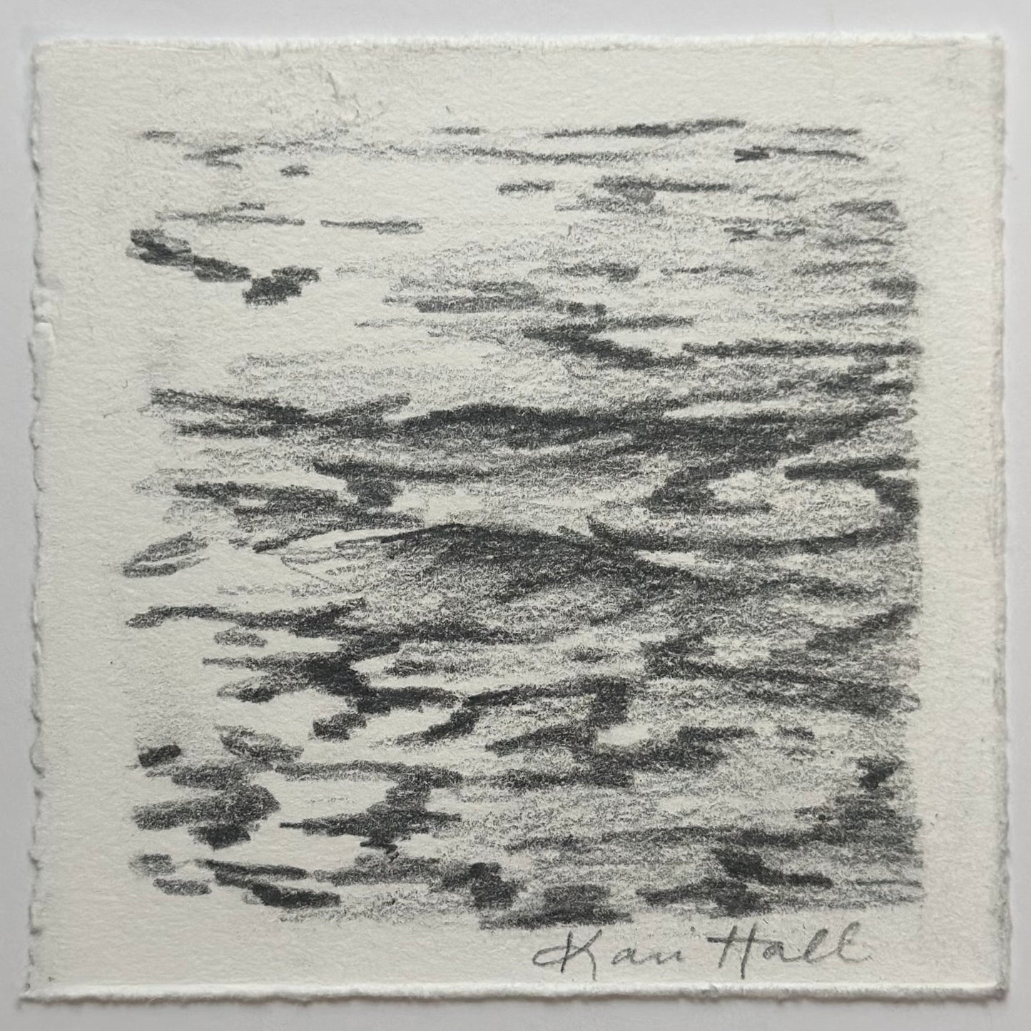 Water Study 4