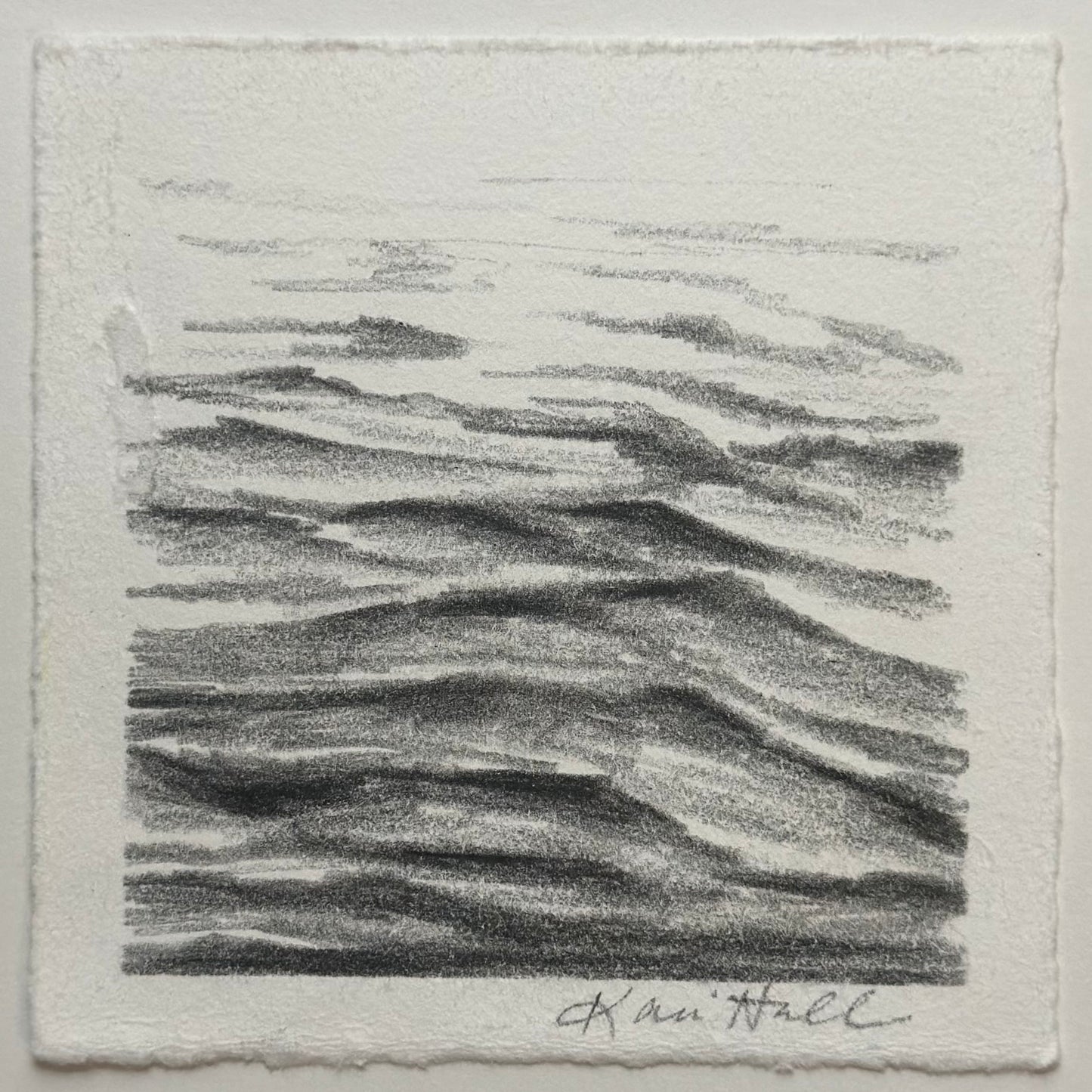 Water Study 5