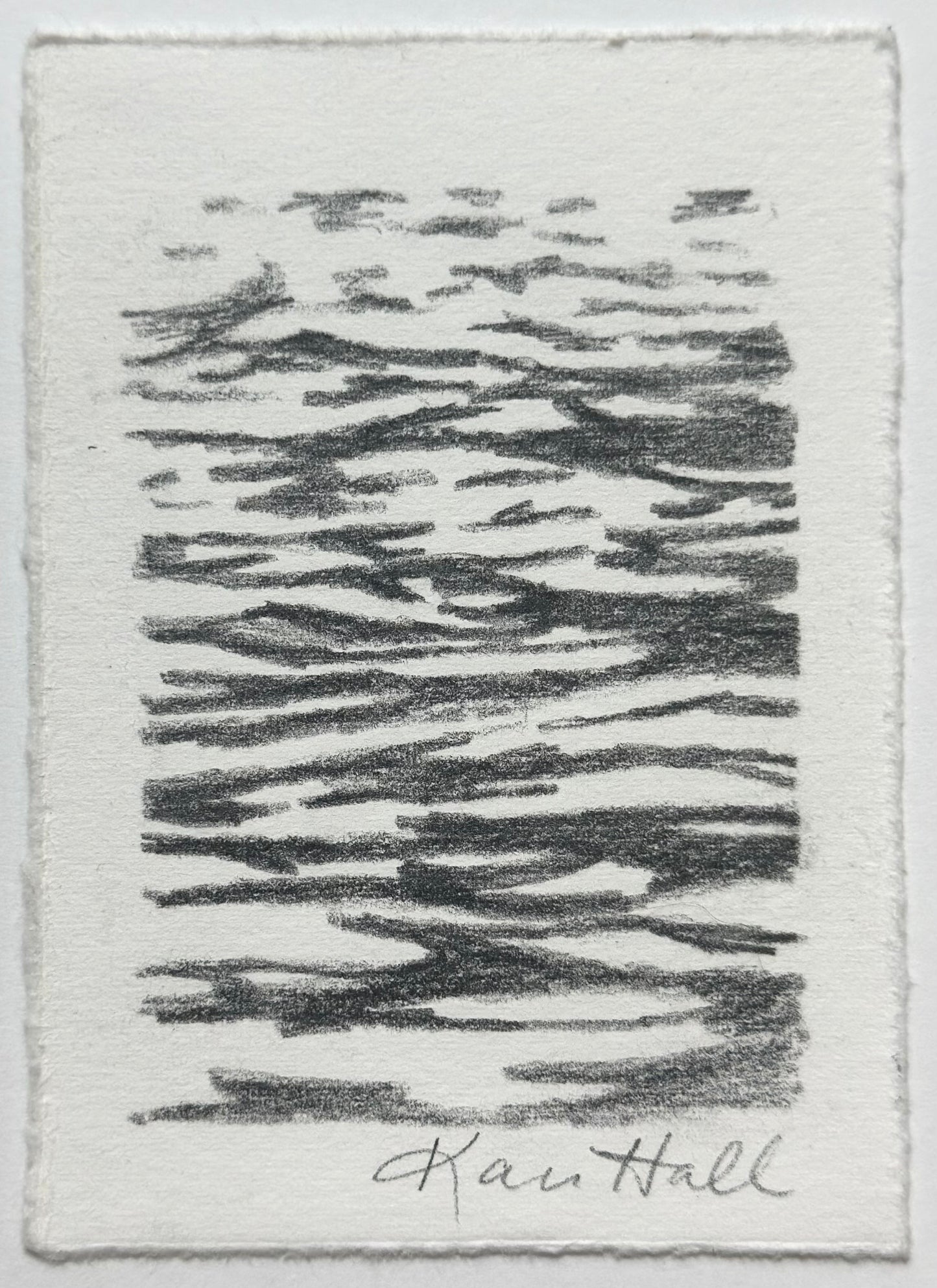 Water Study 12