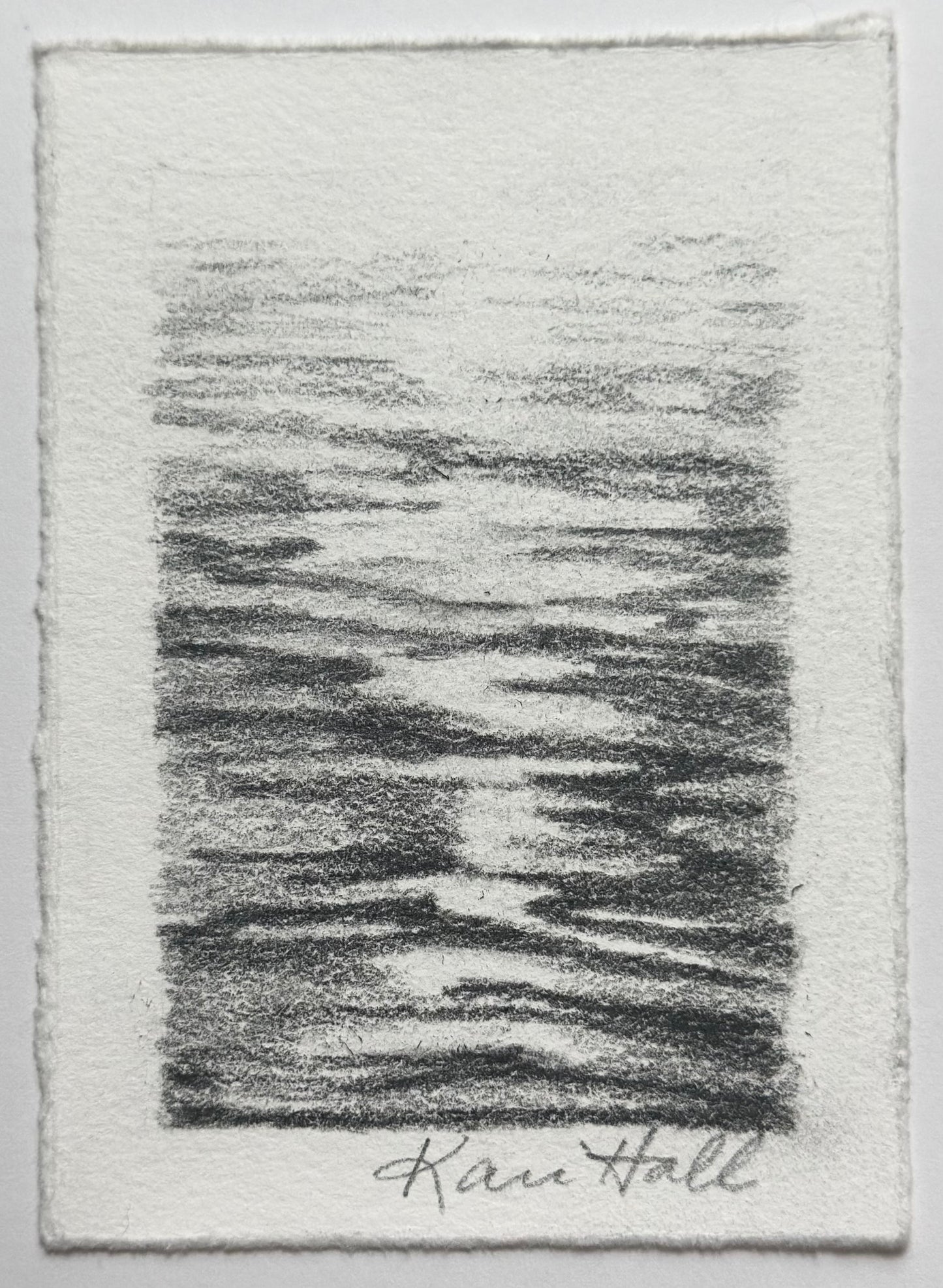 Water Study 15