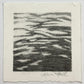 Water Study 1