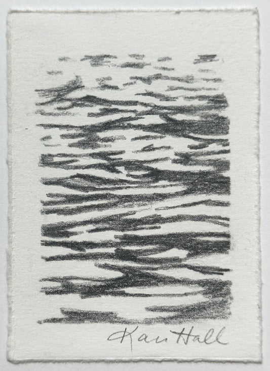 Water Study 12