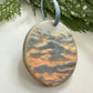 Ornament 25