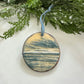 Ornament 26