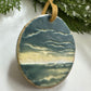 Ornament 46